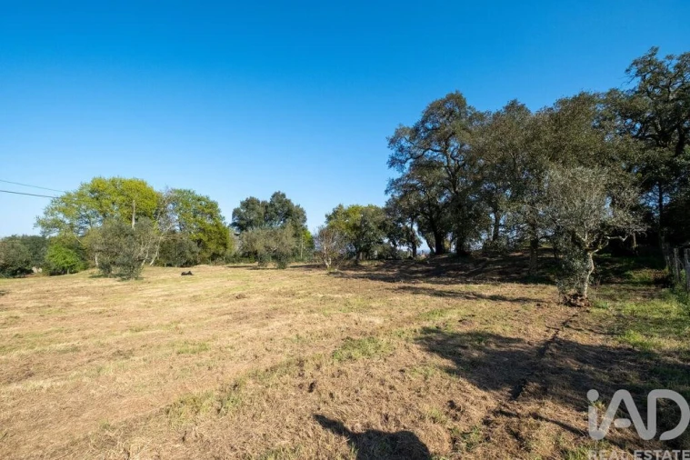 Terreno para Venda em Ovoa e Vimieiro Foto 11
