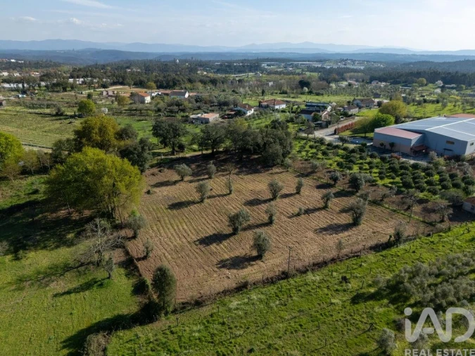 Terreno para Venda em Ovoa e Vimieiro Foto 7