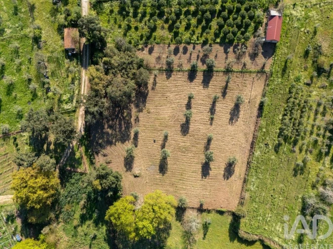 Terreno para Venda em Ovoa e Vimieiro Foto 1