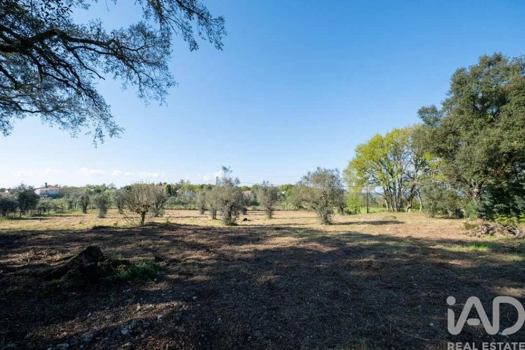 Terreno para Venda em Ovoa e Vimieiro Foto 5
