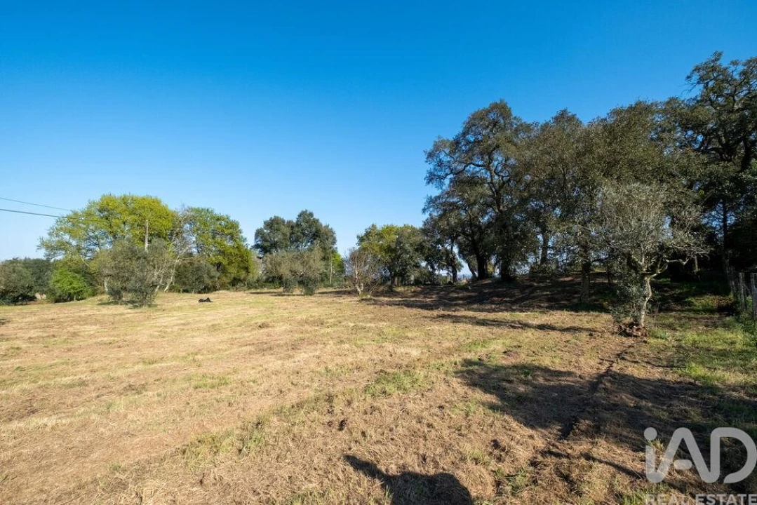 Terreno para Venda em Ovoa e Vimieiro Foto 11