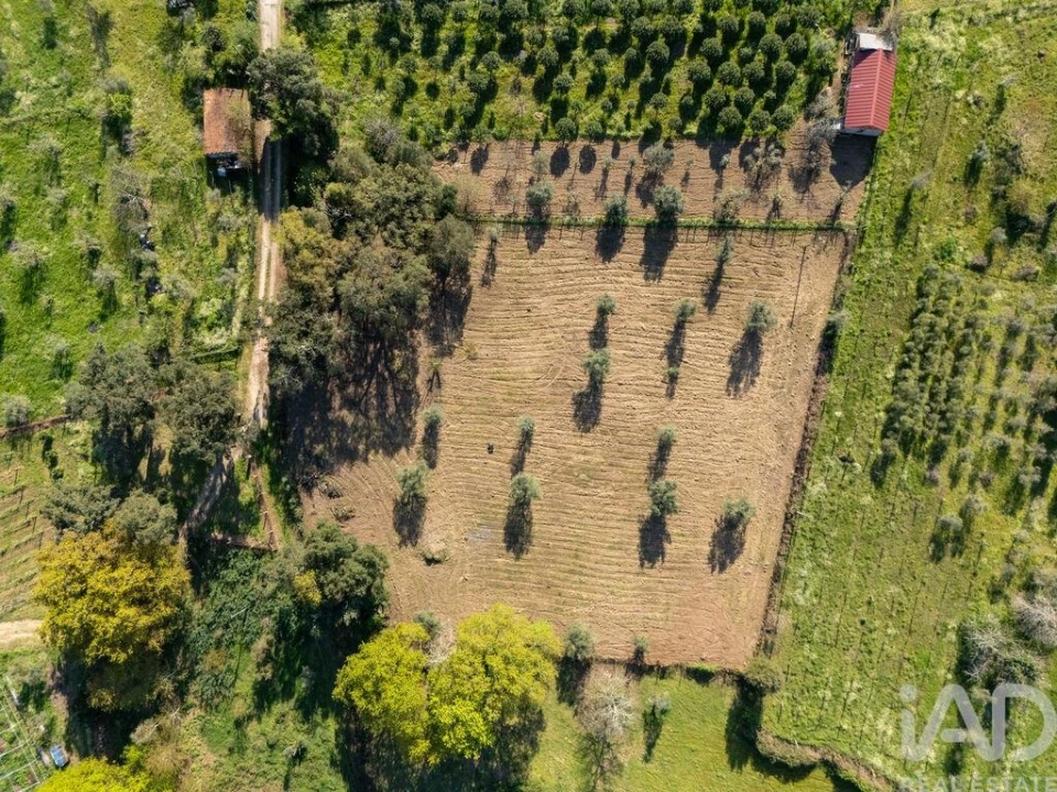 Terreno para Venda em Ovoa e Vimieiro Foto 1