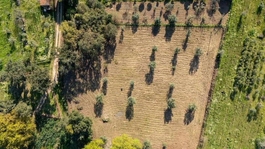 Terreno para Venda em Ovoa e Vimieiro