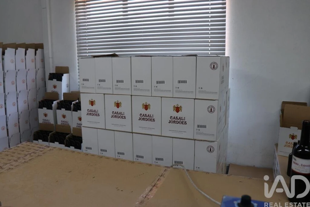 Armazém para Venda em Ervedosa do Douro Foto 6