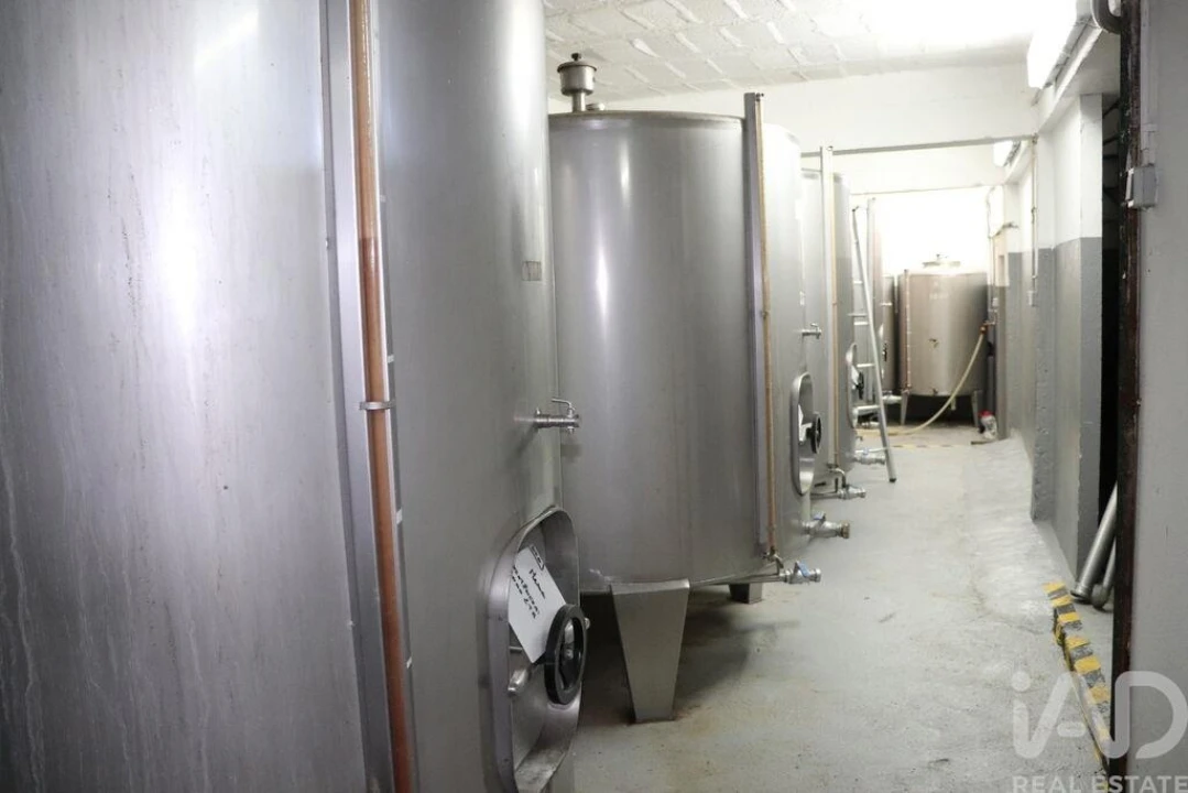 Armazém para Venda em Ervedosa do Douro Foto 10