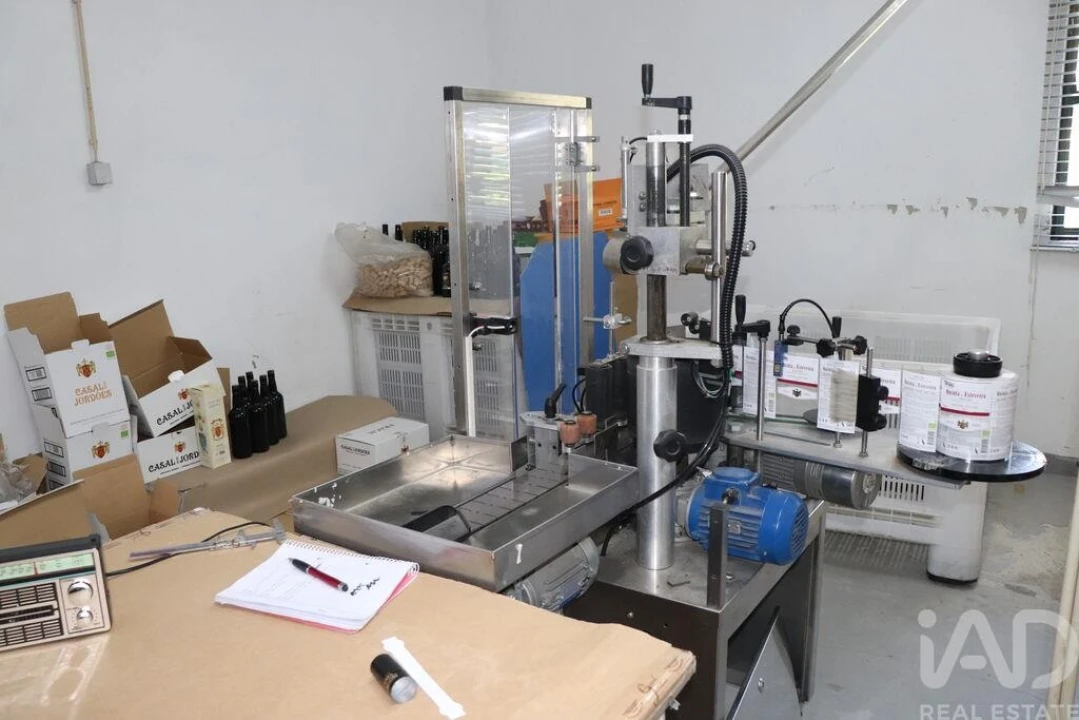 Armazém para Venda em Ervedosa do Douro Foto 4