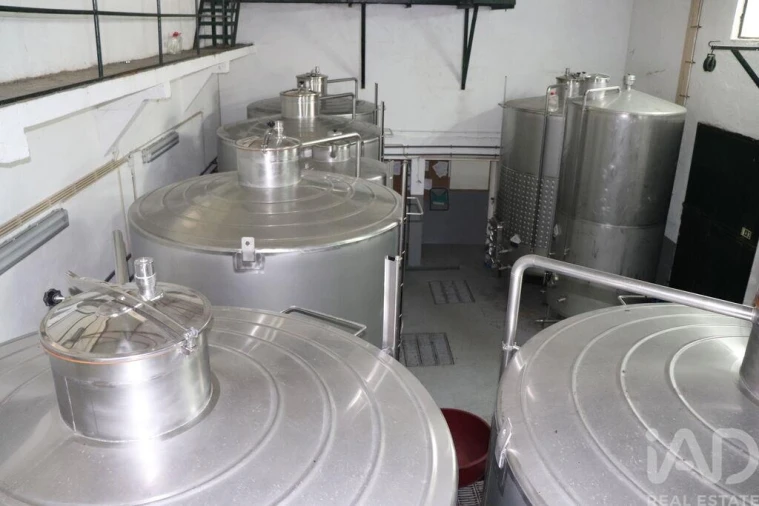 Armazém para Venda em Ervedosa do Douro Foto 7