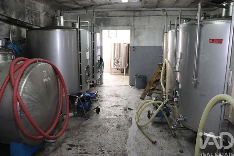 Armazém para Venda em Ervedosa do Douro Foto 17