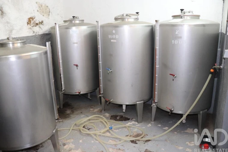 Armazém para Venda em Ervedosa do Douro Foto 11