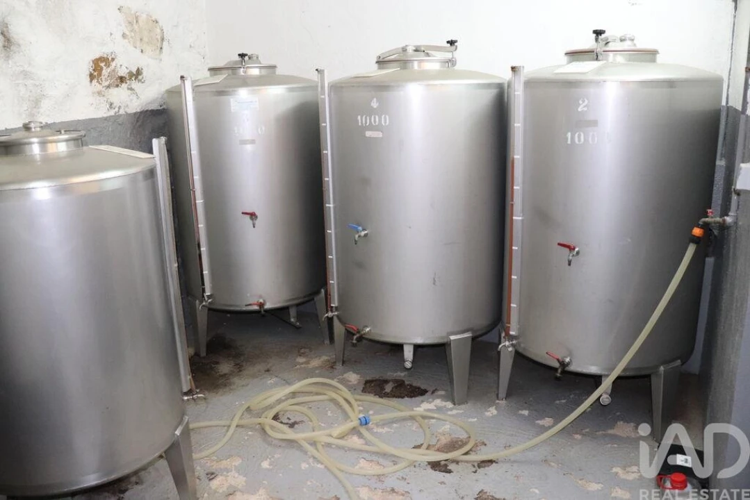 Armazém para Venda em Ervedosa do Douro Foto 11