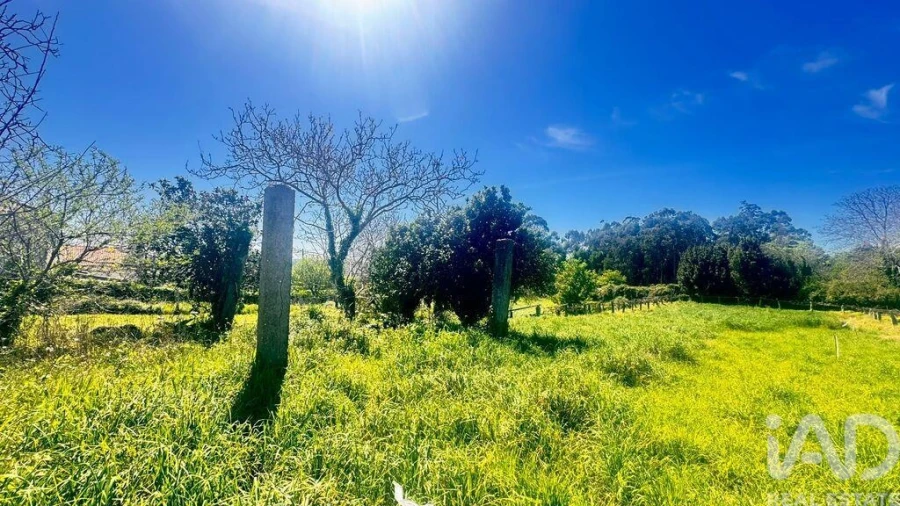 Terreno para Venda em Santa Marta de Portuzelo Foto 3