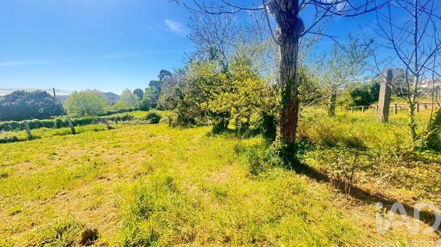 Terreno para Venda em Santa Marta de Portuzelo
