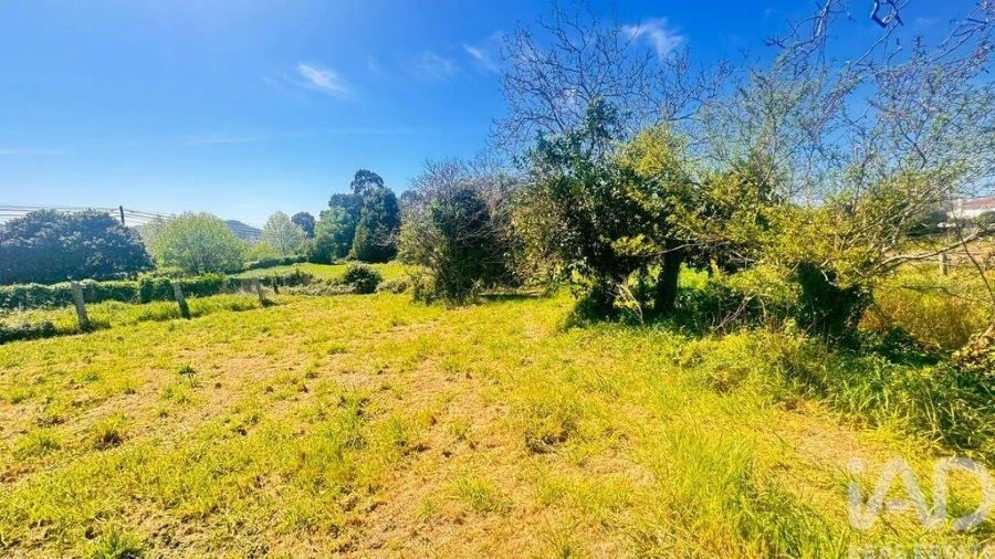 Terreno para Venda em Santa Marta de Portuzelo Foto 5