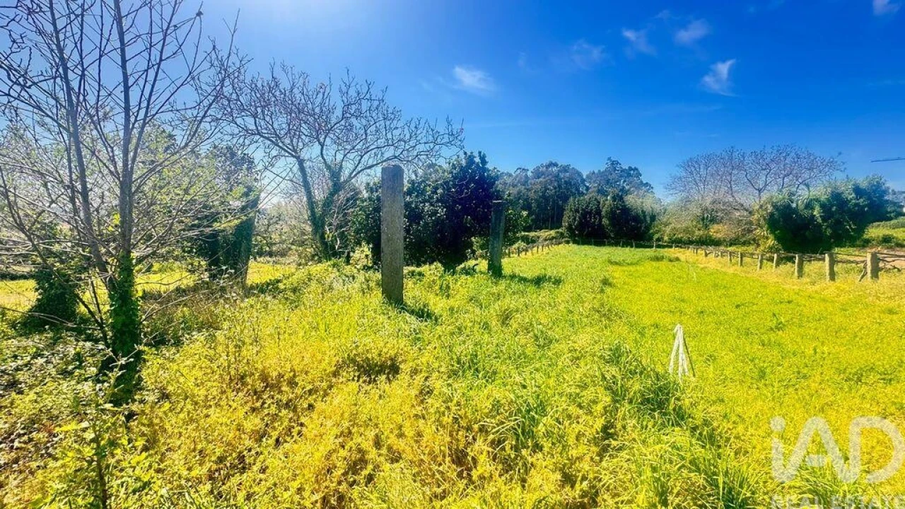 Terreno para Venda em Santa Marta de Portuzelo Foto 2