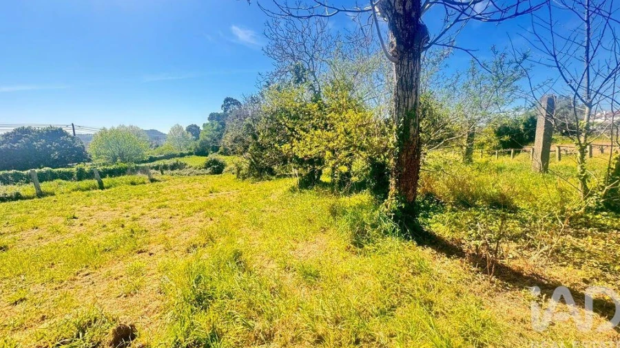 Terreno para Venda em Santa Marta de Portuzelo
