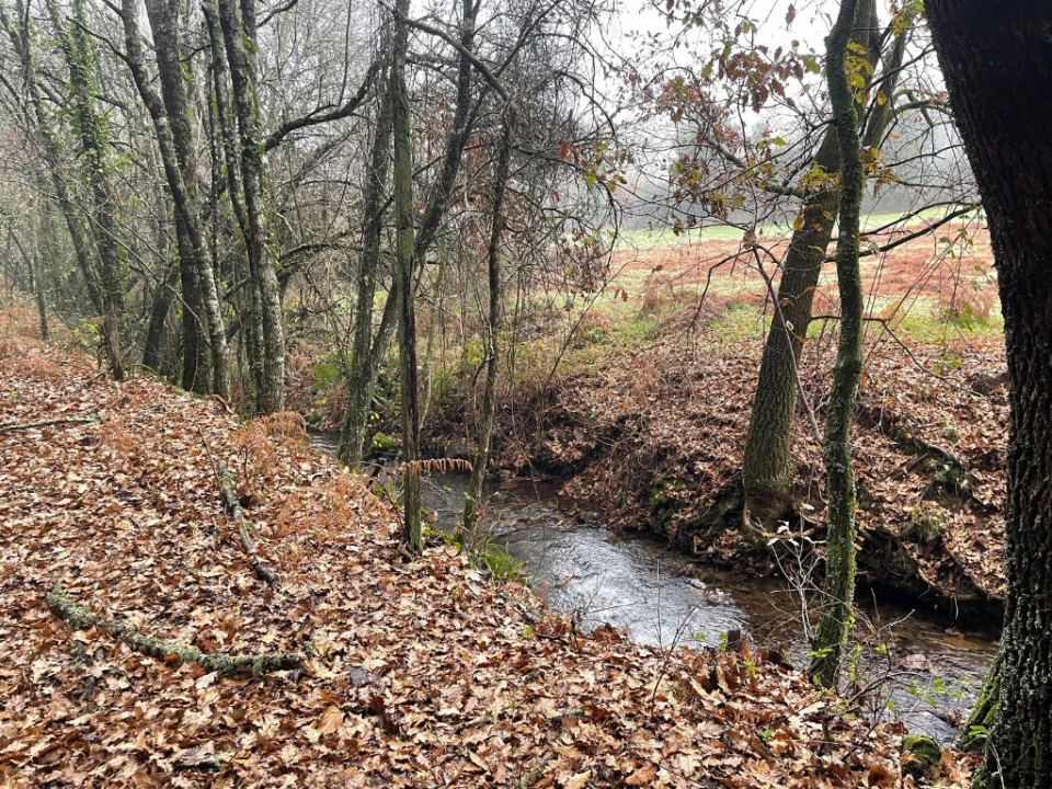 Quinta T5 para Venda em Pedrogão Grande Foto 4
