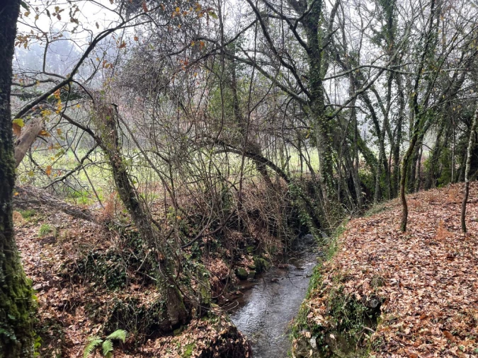 Quinta T5 para Venda em Pedrogão Grande Foto 2