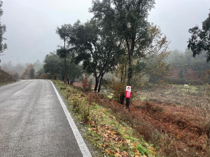 Quinta T5 para Venda em Pedrogão Grande Foto 5