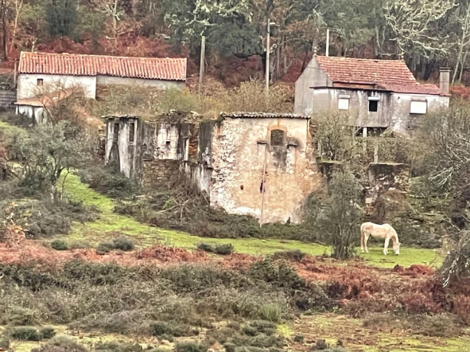 Quinta T5 para Venda em Pedrogão Grande