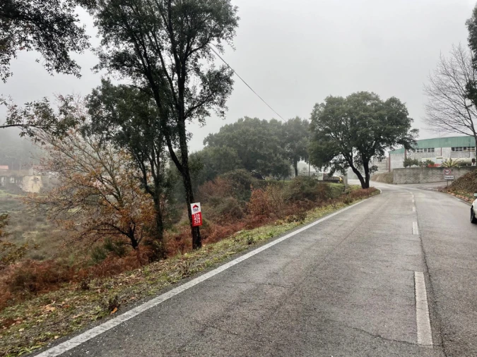 Quinta T5 para Venda em Pedrogão Grande Foto 7