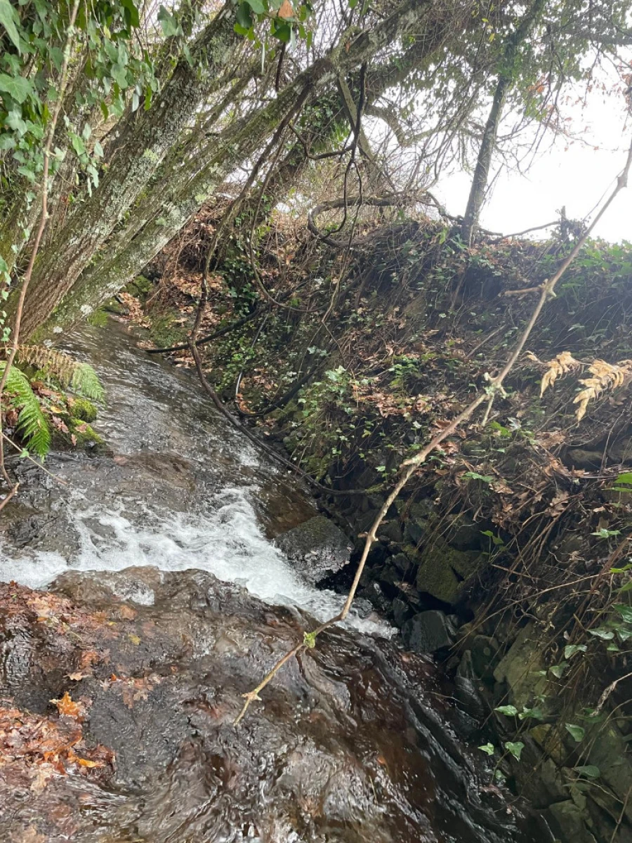 Quinta T5 para Venda em Pedrogão Grande Foto 6