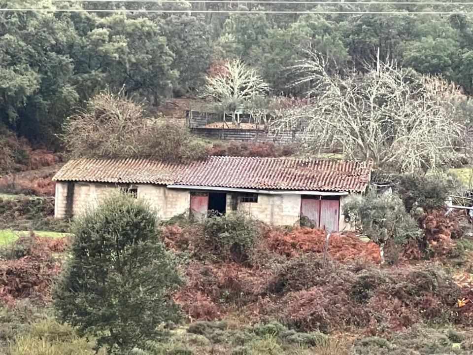 Quinta T5 para Venda em Pedrogão Grande Foto 3