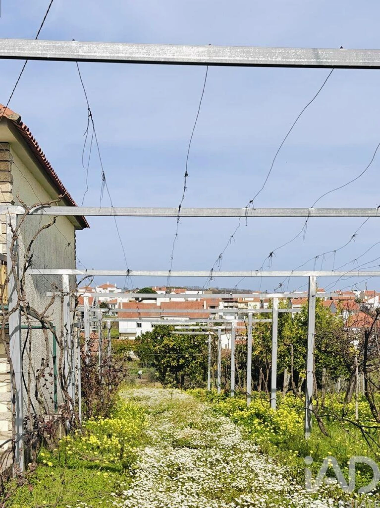 Moradia T2 para Venda em Castelo Branco Foto 14