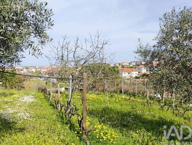 Moradia T2 para Venda em Castelo Branco Foto 29