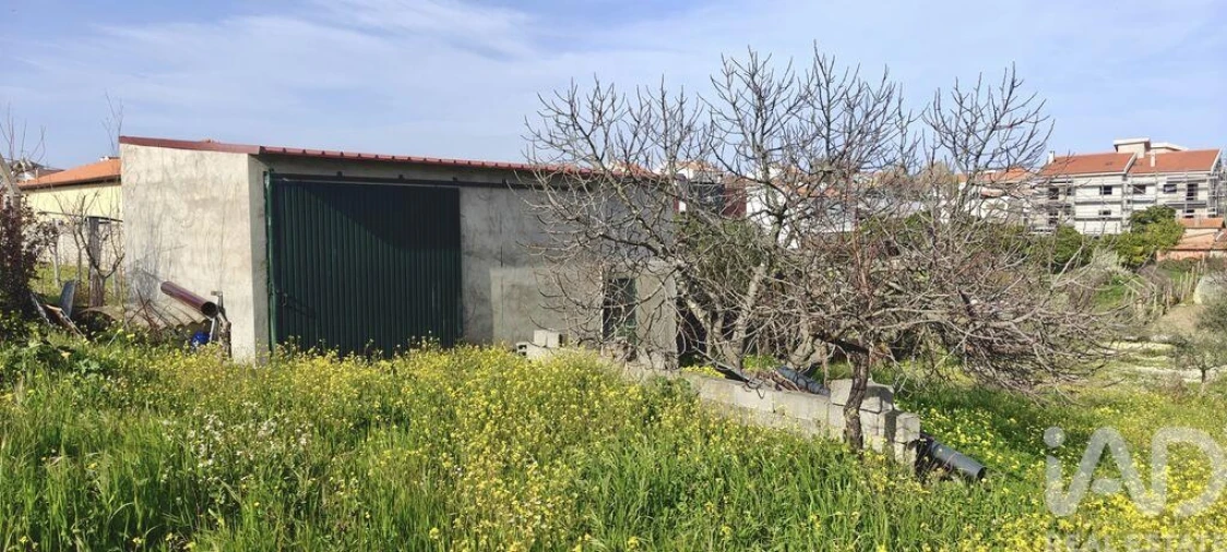 Moradia T2 para Venda em Castelo Branco Foto 24