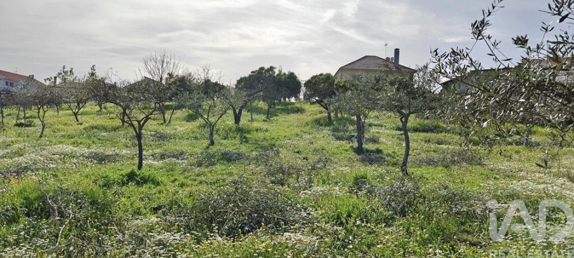 Moradia T2 para Venda em Castelo Branco Foto 25