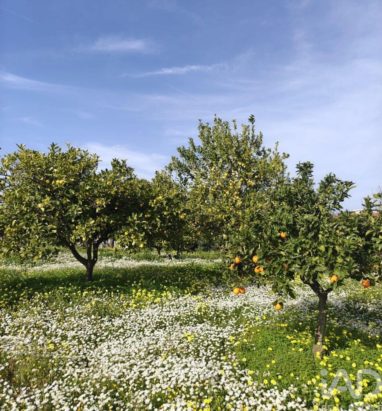 Moradia T2 para Venda em Castelo Branco Foto 26
