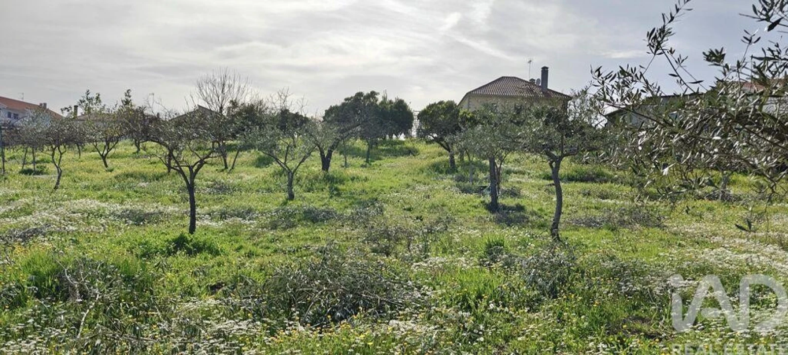 Moradia T2 para Venda em Castelo Branco Foto 25