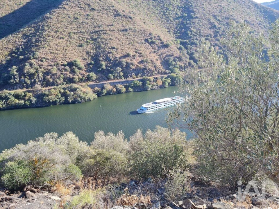 Terreno para Venda em Urros e Peredo dos Castelhanos Foto 2