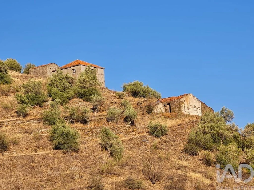 Terreno para Venda em Urros e Peredo dos Castelhanos Foto 6