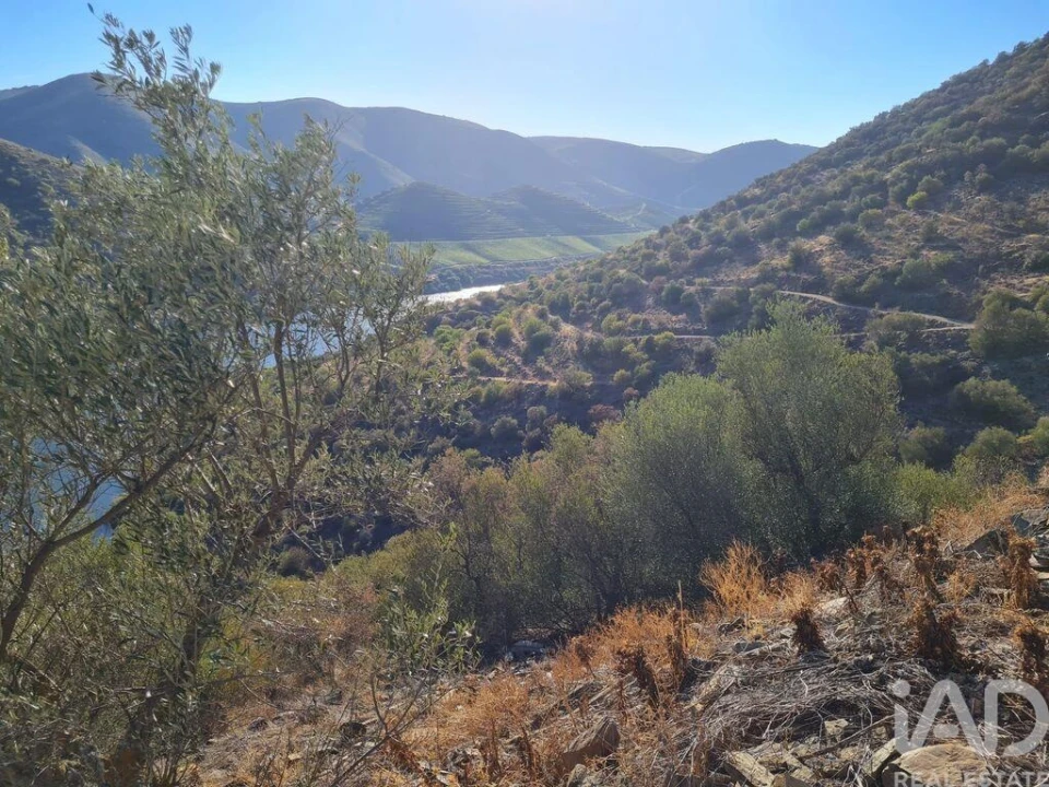 Terreno para Venda em Urros e Peredo dos Castelhanos Foto 4