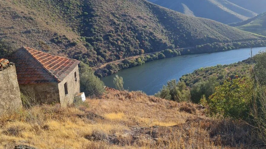 Terreno para Venda em Urros e Peredo dos Castelhanos