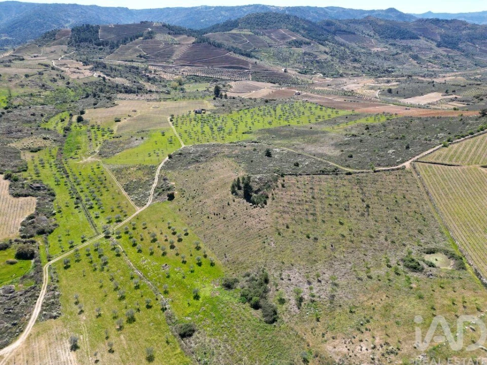 Quinta para Venda em Vilas Boas e Vilarinho das Azenhas Foto 14