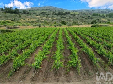 Quinta para Venda em Vila Flor e Nabo