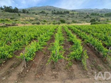 Quinta para Venda em Vila Flor e Nabo