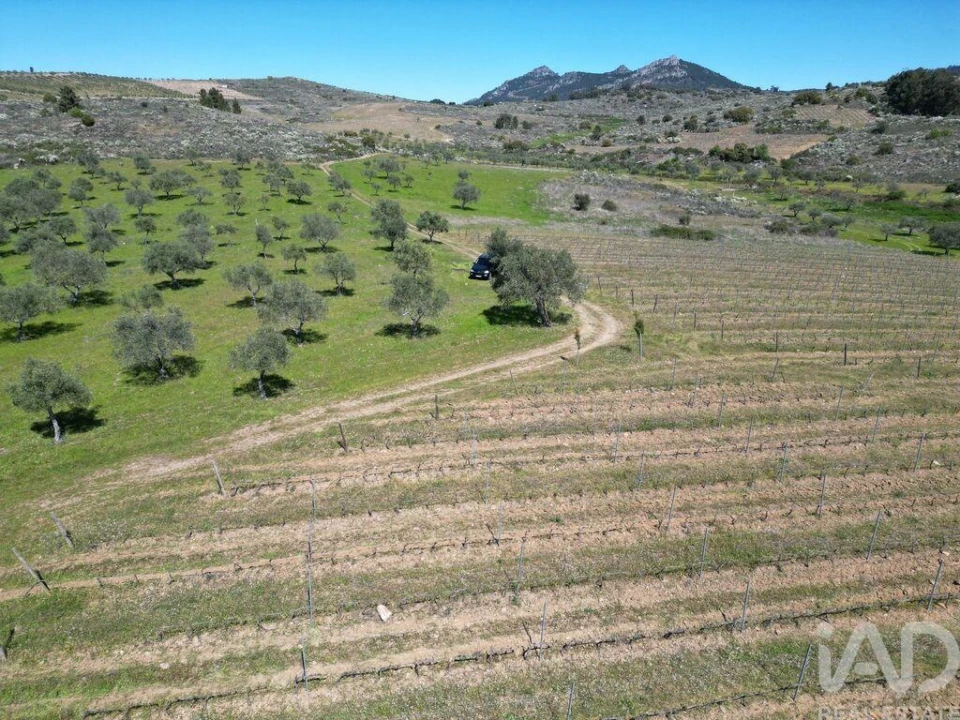 Quinta para Venda em Vilas Boas e Vilarinho das Azenhas Foto 11