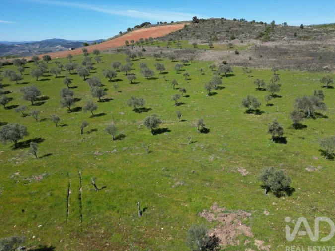 Quinta para Venda em Vilas Boas e Vilarinho das Azenhas Foto 7