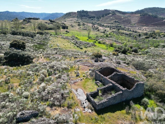 Quinta para Venda em Vilas Boas e Vilarinho das Azenhas Foto 16