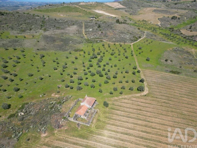 Quinta para Venda em Vilas Boas e Vilarinho das Azenhas Foto 5