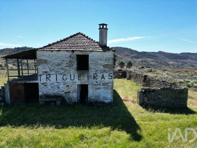 Quinta para Venda em Vilas Boas e Vilarinho das Azenhas Foto 23