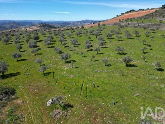 Quinta para Venda em Vilas Boas e Vilarinho das Azenhas Foto 6