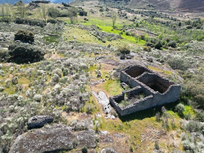 Quinta para Venda em Vilas Boas e Vilarinho das Azenhas Foto 15