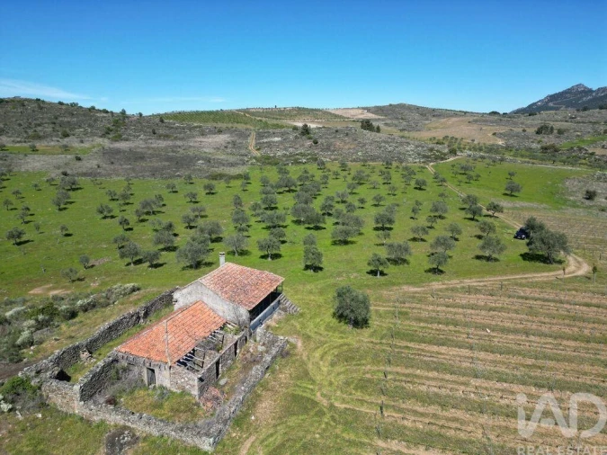 Quinta para Venda em Vilas Boas e Vilarinho das Azenhas Foto 24