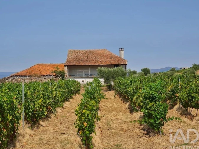 Quinta para Venda em Vilas Boas e Vilarinho das Azenhas Foto 22