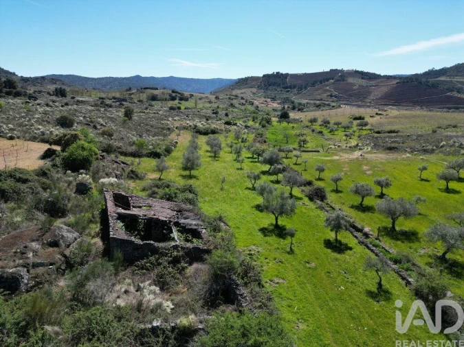 Quinta para Venda em Vilas Boas e Vilarinho das Azenhas Foto 20