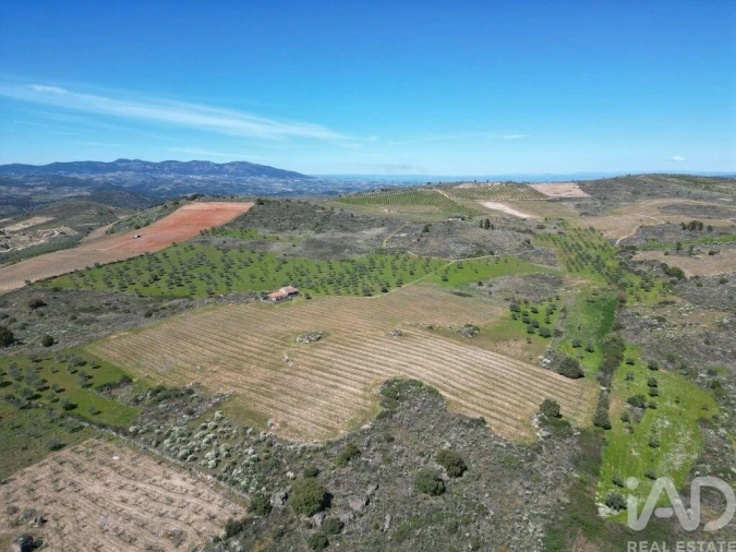 Quinta para Venda em Vilas Boas e Vilarinho das Azenhas Foto 18